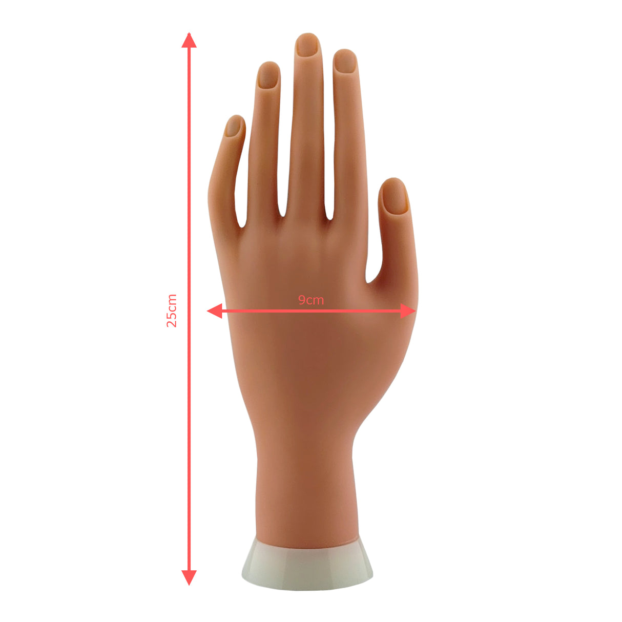 Nail Tech Training Soft Practice Hand With Dimensions View