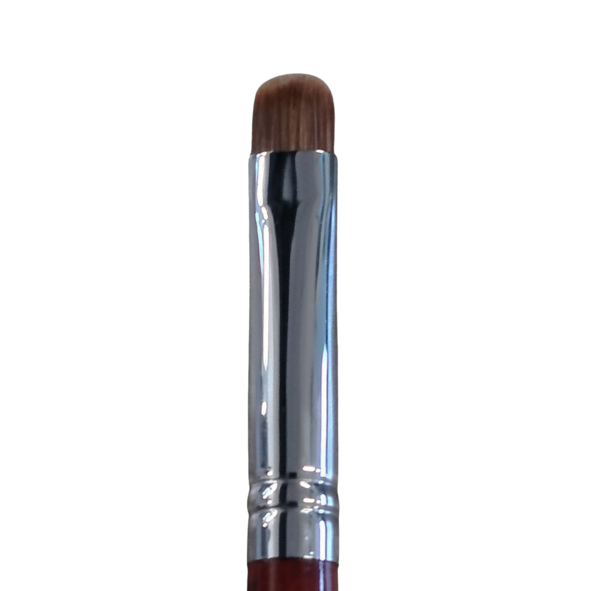 French Brush with Dotting Tool #14 Brush Tip View